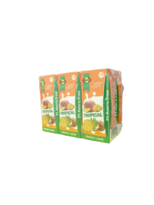 FRUTA + LECHE Tropical AYALA 200ML 6U